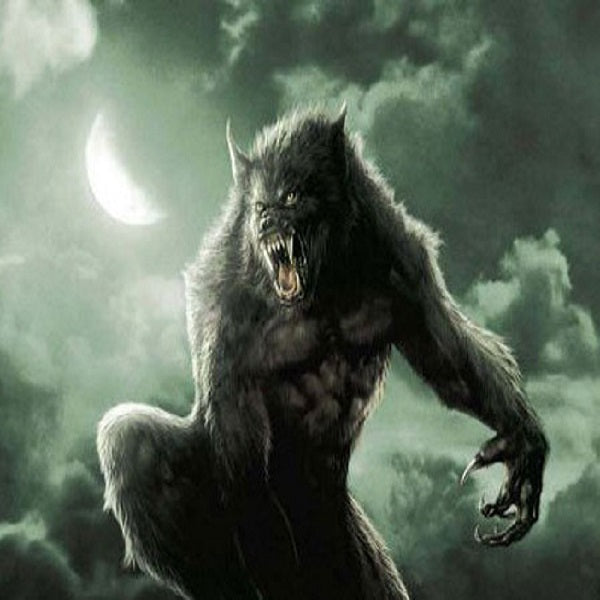 Infernal Wolves Lobo Infernal Lobo Fogo Infernal Desenho Imagens – Download Grátis
