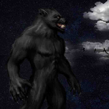 Infernal Werewolf